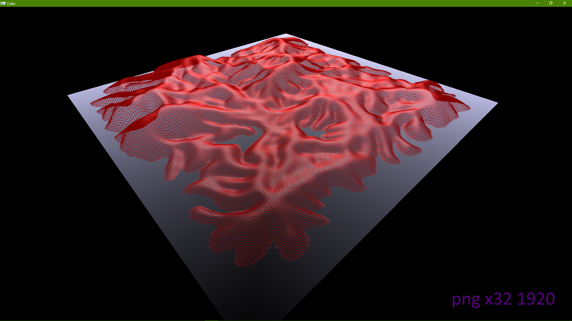 Digital Elevation Model Wireframe